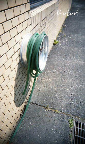 img067.jpg