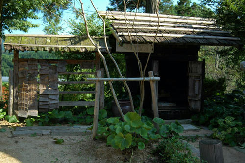 DSC_0054.jpg