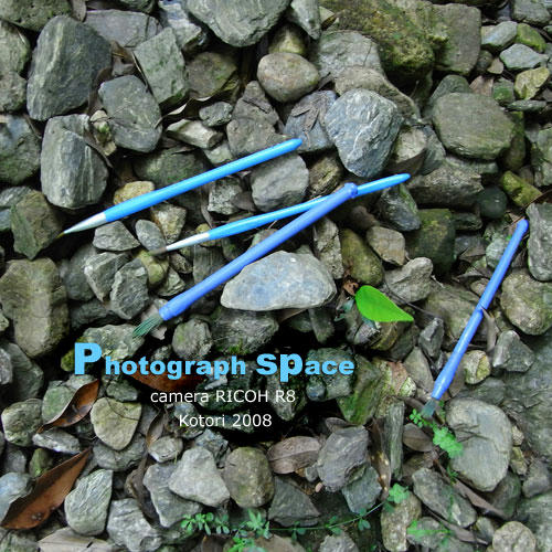 RIMG0077.jpg