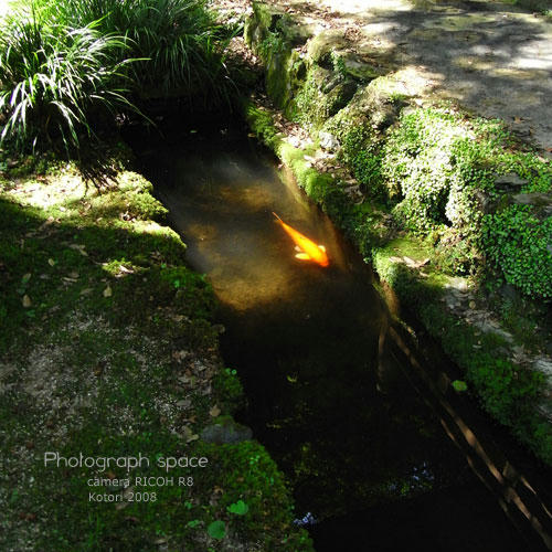 RIMG0065.jpg