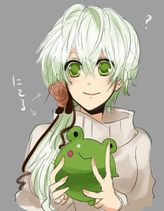 ruikaeru.jpg