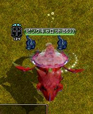 a7c4255f.jpg