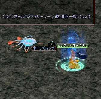 b573c5c6.jpg
