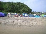 CA390437-0001.JPG