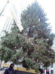 CA390817.JPG