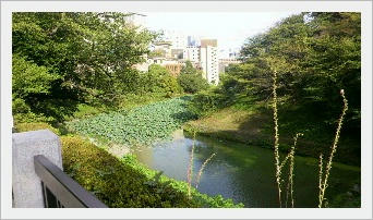 2011080422240000.jpg