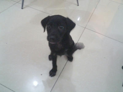 080609.jpg