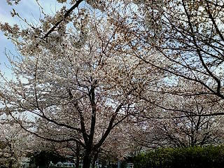 20110411113747.jpg