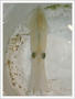 dfae97b9.jpg