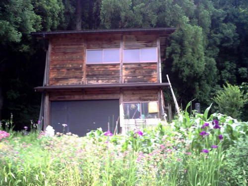 梨花ちゃんハウス正面