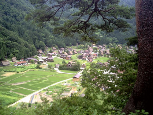 梨花ちゃんお気に入りの場所