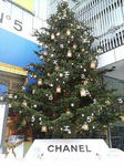 img6529563.jpg