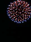 P1000041.JPG