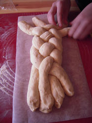 DSCN0529.jpg