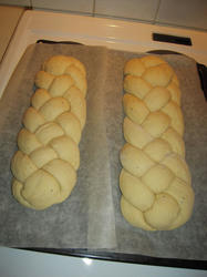 DSCN0531.jpg