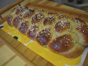 DSCN0541.jpg