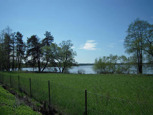 DSCN0626.jpg