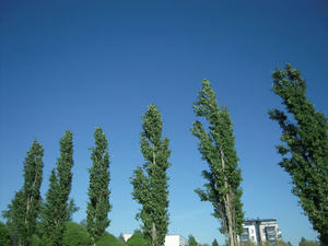 DSCN0676.jpg
