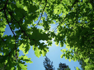DSCN0664.jpg