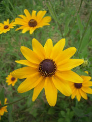 DSCN0817.jpg