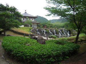 DSCN1017.jpg