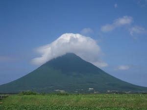 DSCN1217.jpg