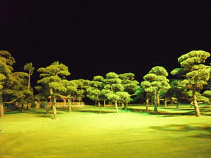 DSCN1215.jpg