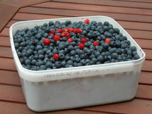 DSCN2962.jpg
