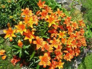 DSCN2955.jpg