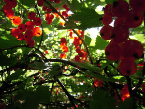 DSCN1326.jpg