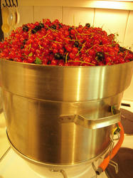 DSCN1323.jpg