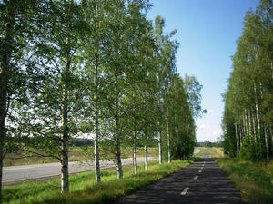 DSCN1366.jpg