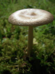 DSCN1317.jpg