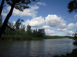 DSCN1405.jpg