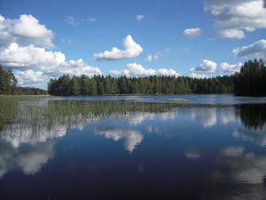 DSCN1552.jpg
