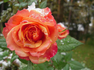 DSCN1734.jpg