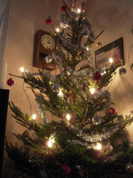 DSCN1781.jpg