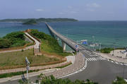 R0010186s.jpg
