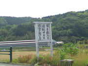 TS3E0296.JPG