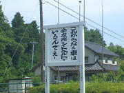 TS3E0293.JPG