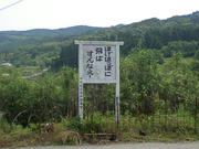 PAP_0306.JPG