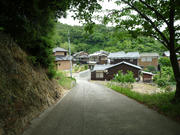 P1000018.JPG