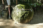 P1000126.JPG