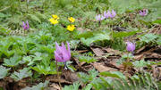 DSC00326.JPG