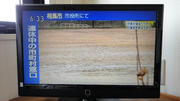 DSC00300.JPG