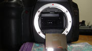 DSC00377.JPG