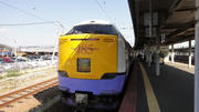 DSC00494.JPG