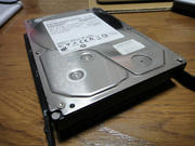 DSC00521.jpg