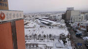 DSC00524.jpg