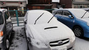 DSC00525.jpg